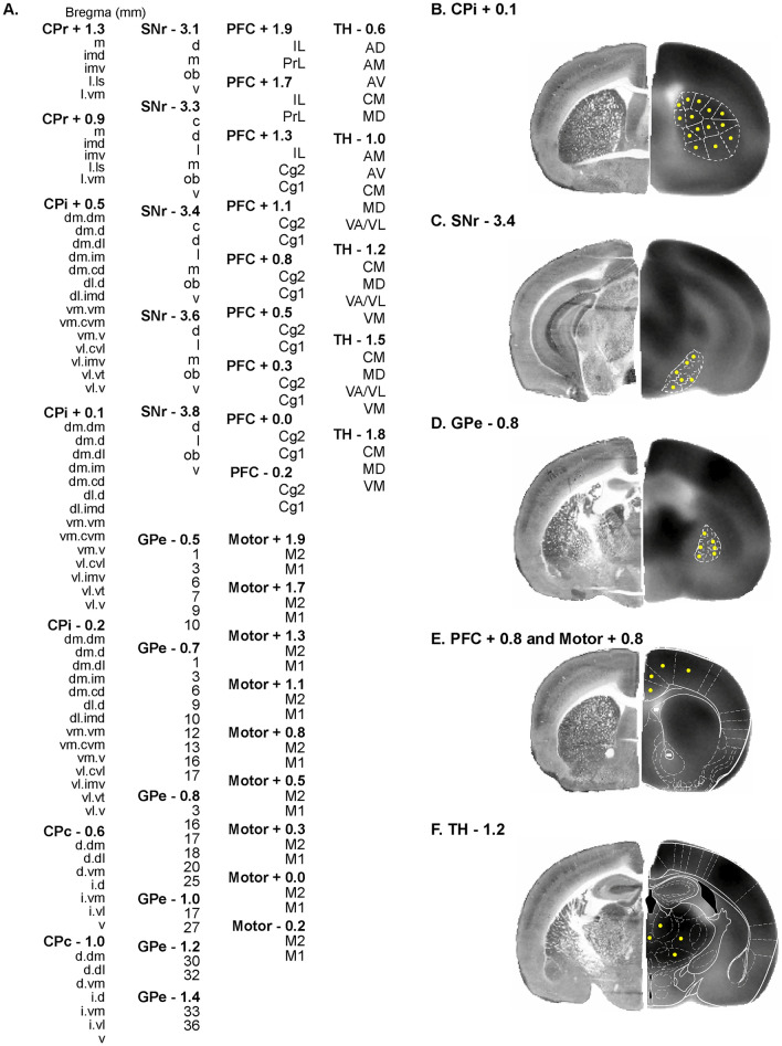 Fig. 2