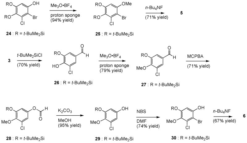 Scheme 2