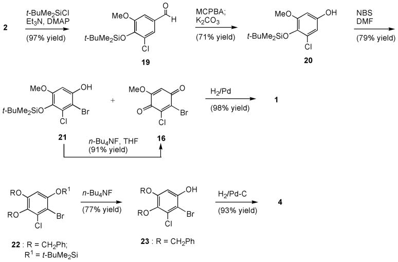 Scheme 1