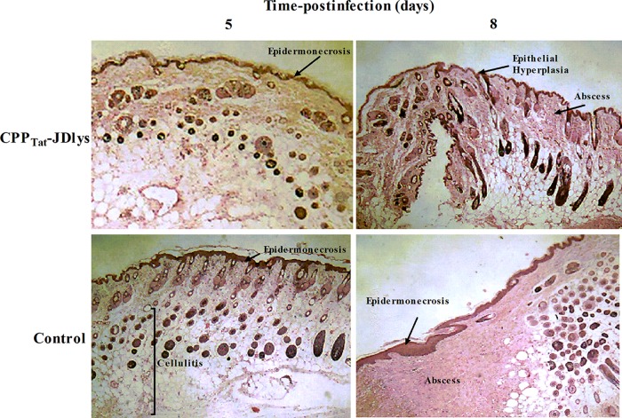 FIG 8