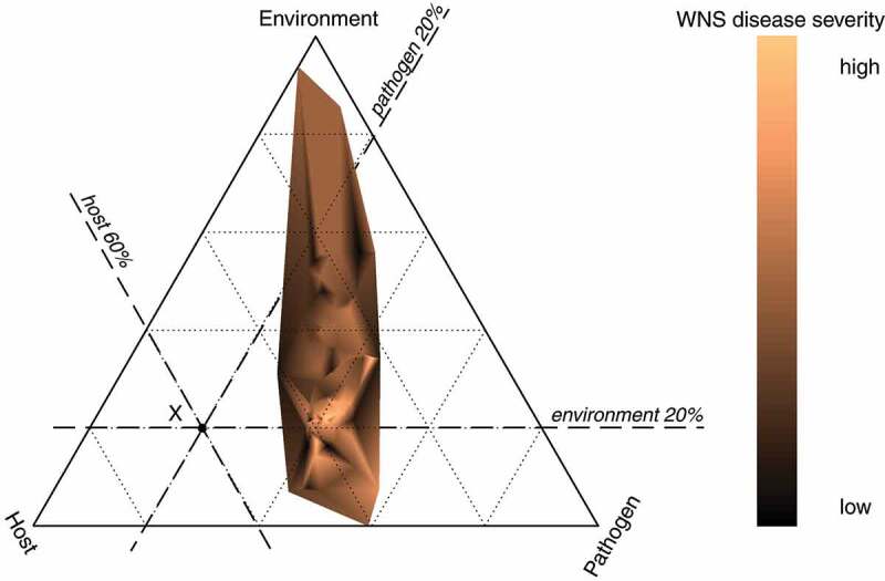 Figure 6.