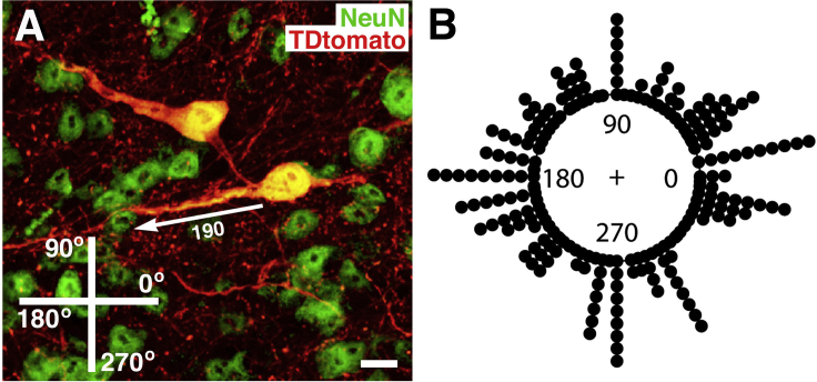 Figure 3