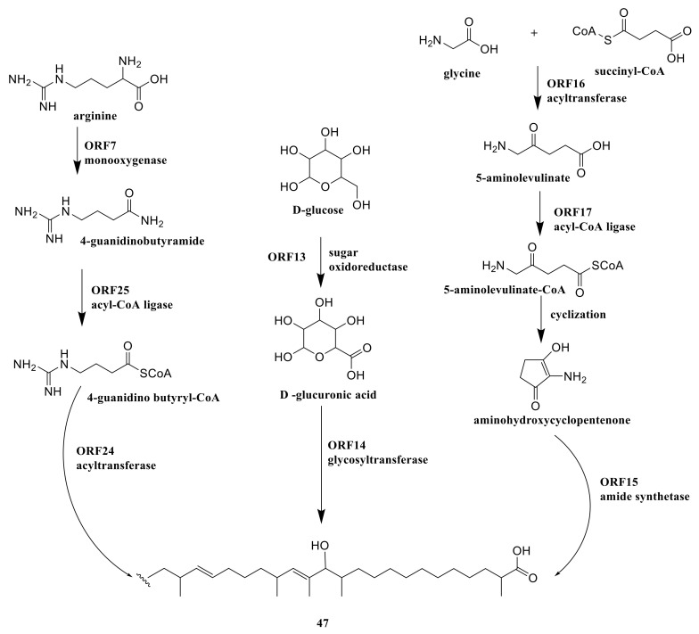 Figure 9