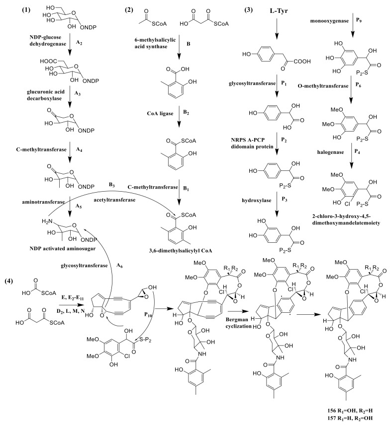 Figure 12