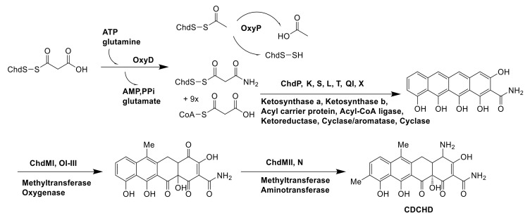 Figure 15