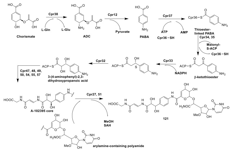 Figure 11