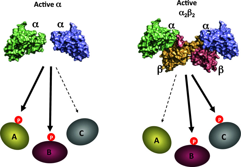 Fig. 1