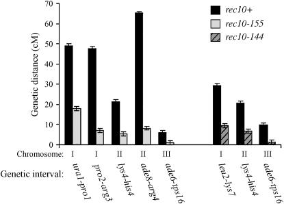 Figure 2.—