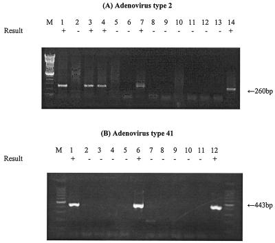 FIG. 5.