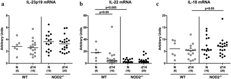 Fig. 6