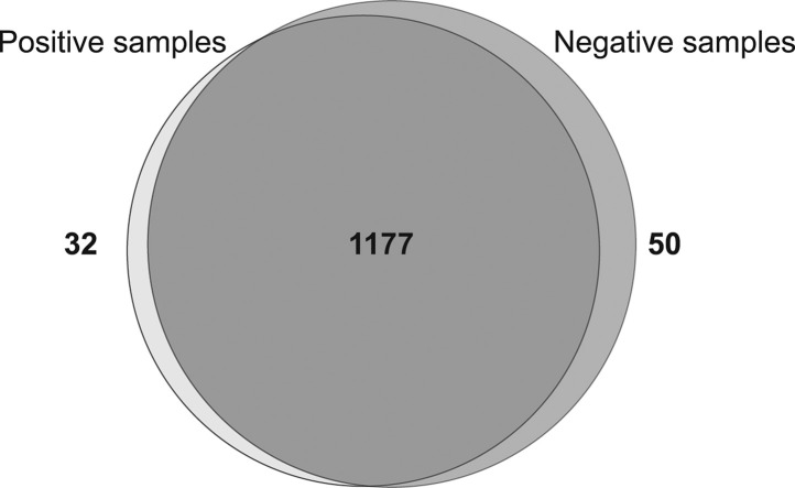 Fig. 1: