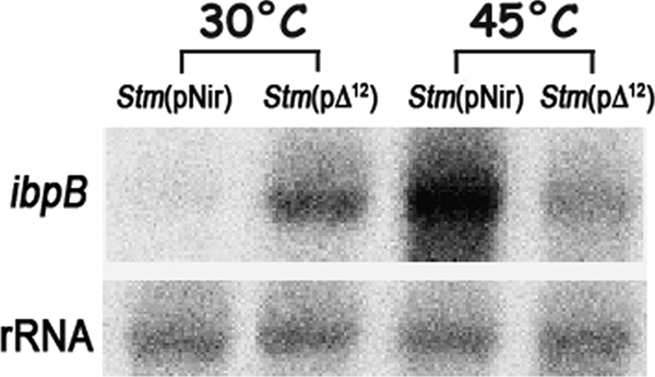 FIG. 8.