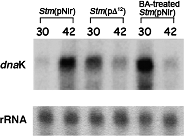 FIG. 10.