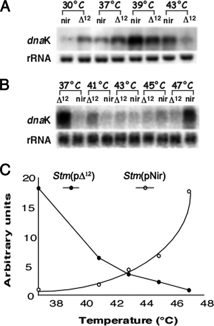 FIG. 7.