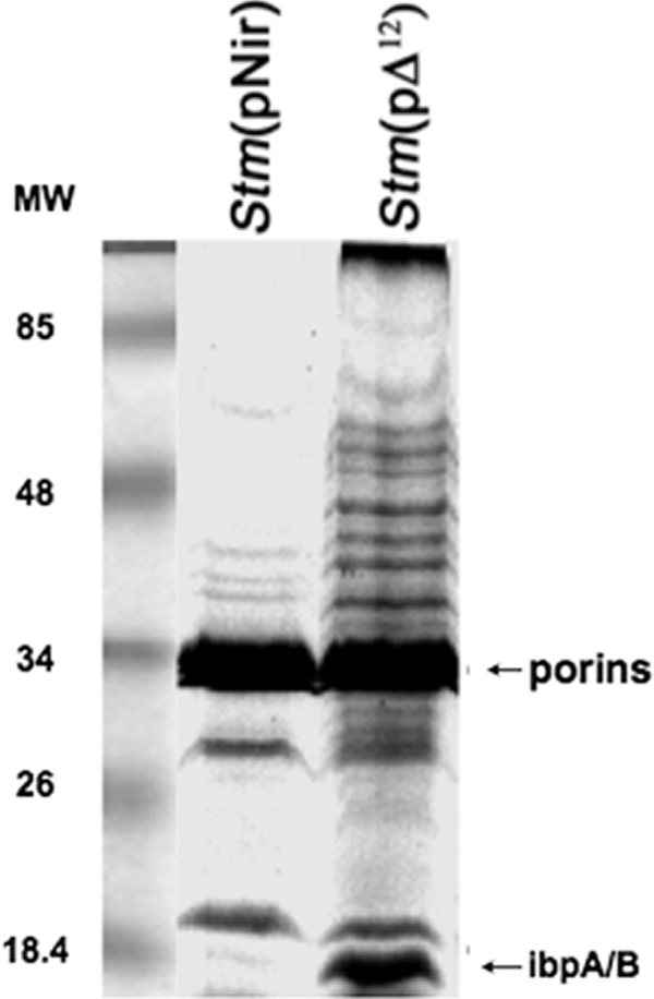 FIG. 9.