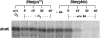 FIG. 11.