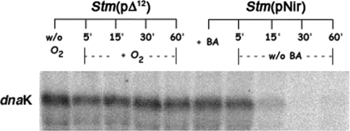 FIG. 11.