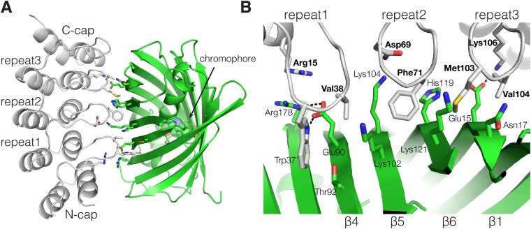 Fig. 2.