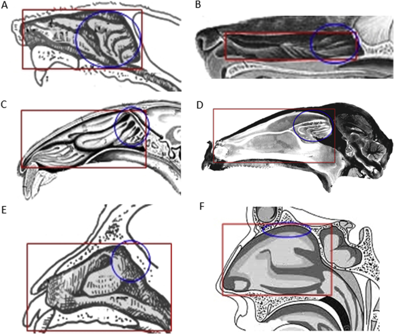 Figure 7