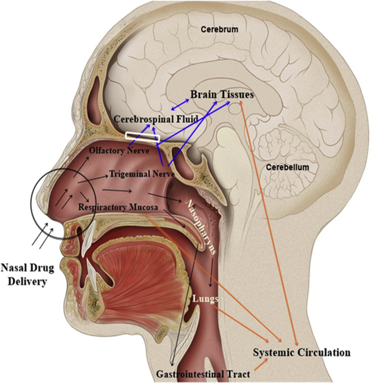 Figure 4