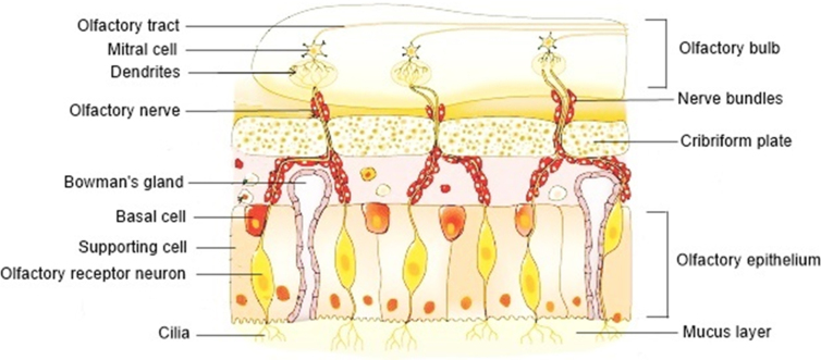 Figure 3