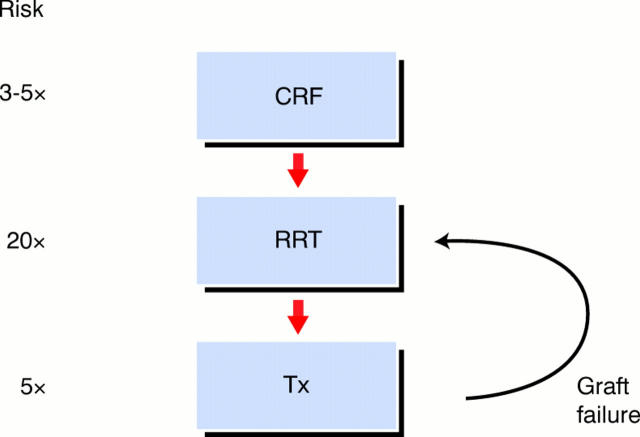 Figure 1:  