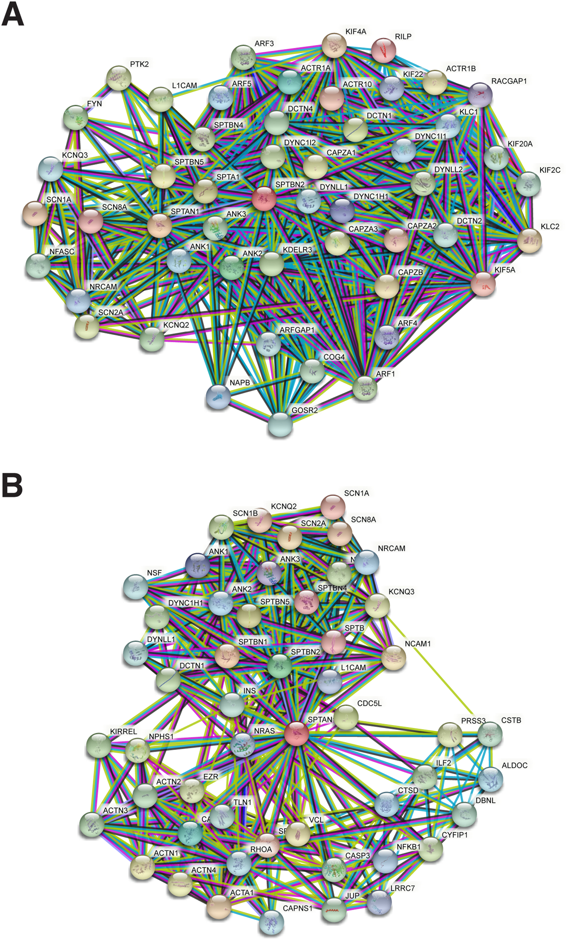 Figure 2: