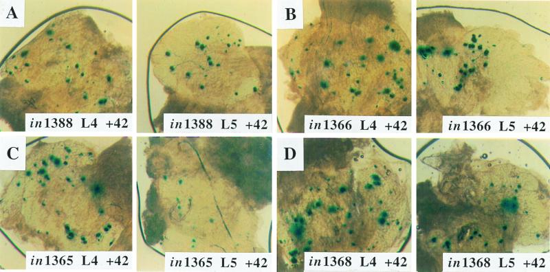 FIG. 4