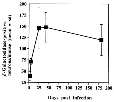 FIG. 3