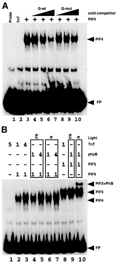 graphic file with name cdf238f5.jpg