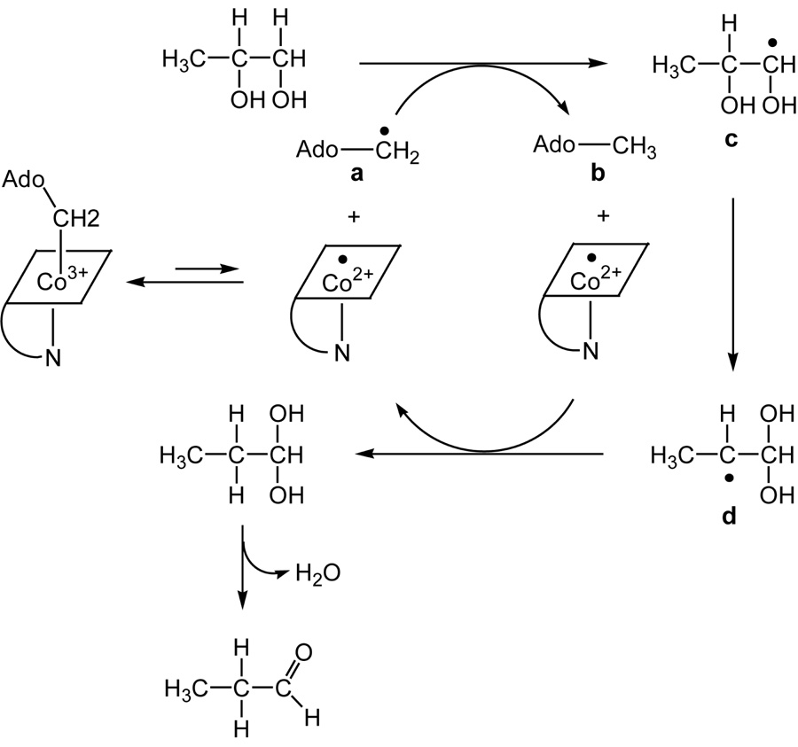 Scheme 1