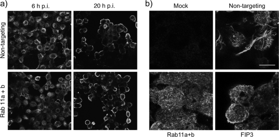 FIG. 8.