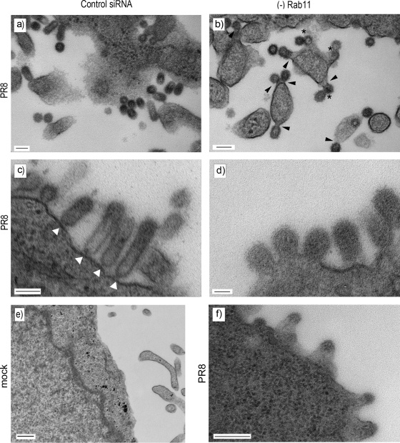 FIG. 10.