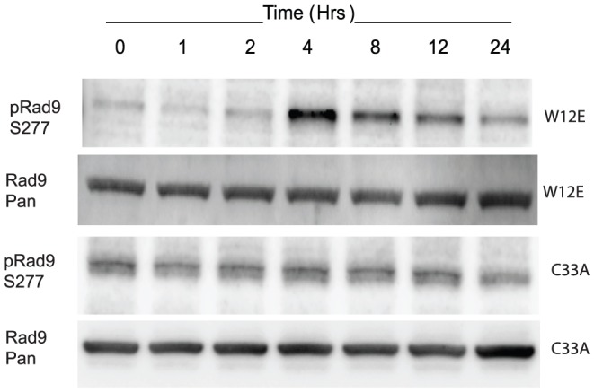 Figure 10