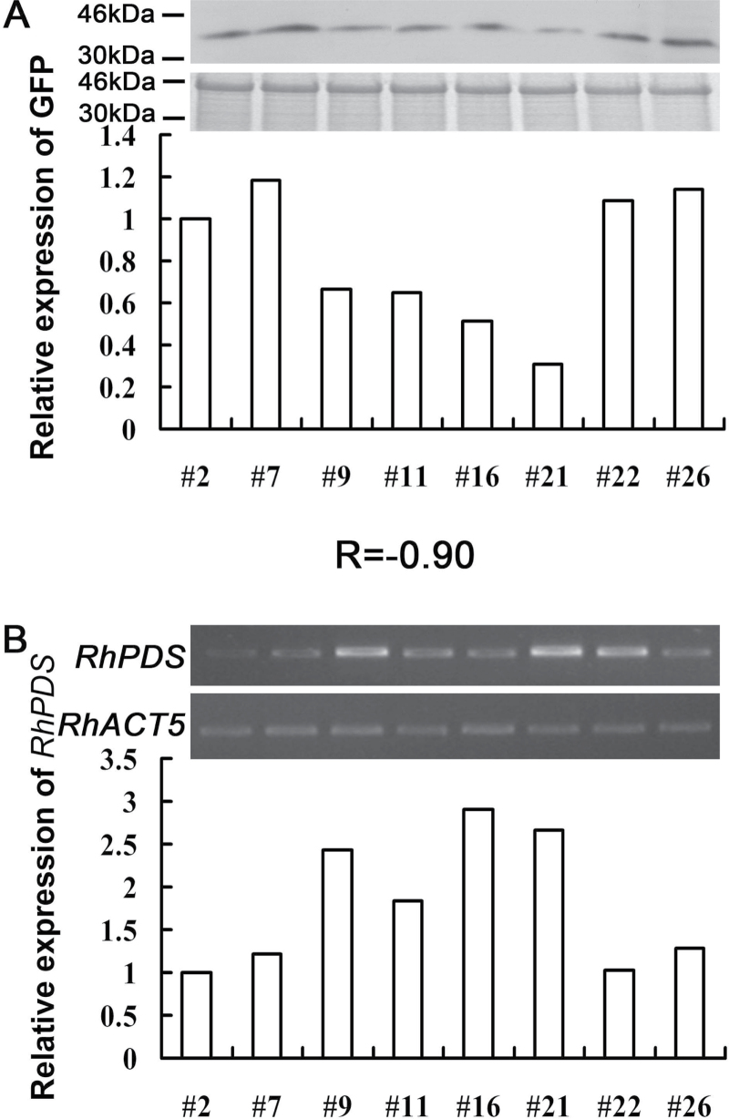 Fig. 8.