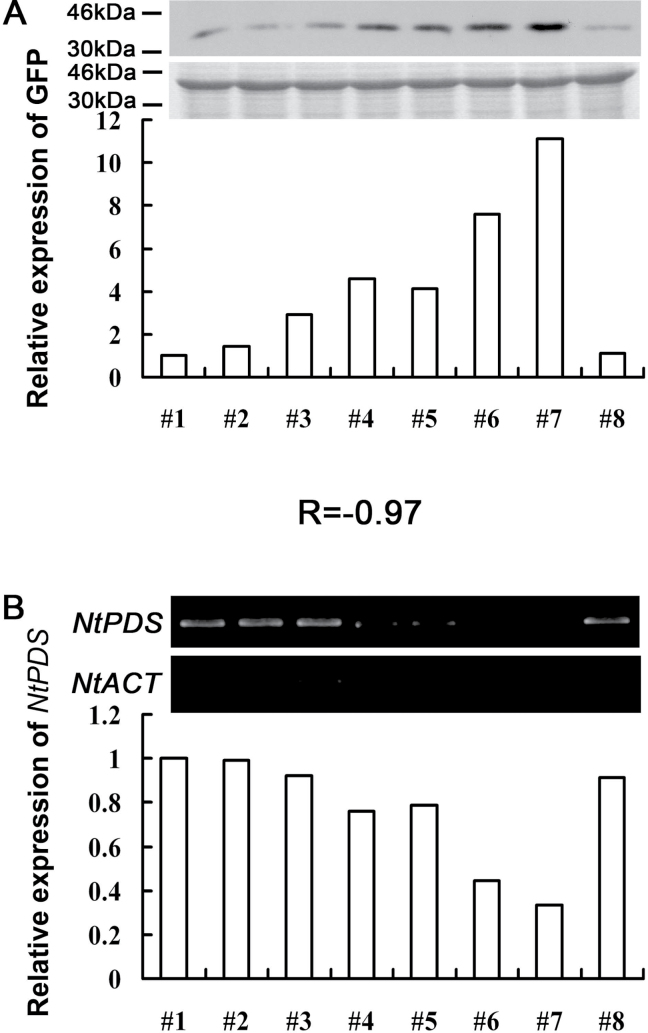 Fig. 3.