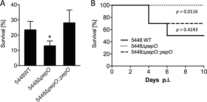 FIG 6