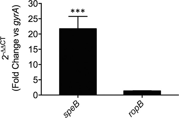 FIG 3