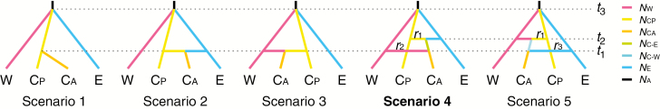 Fig. 2.