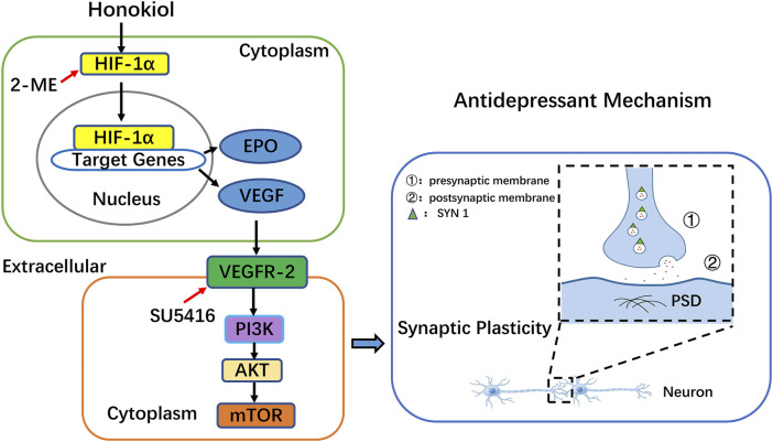 FIGURE 14