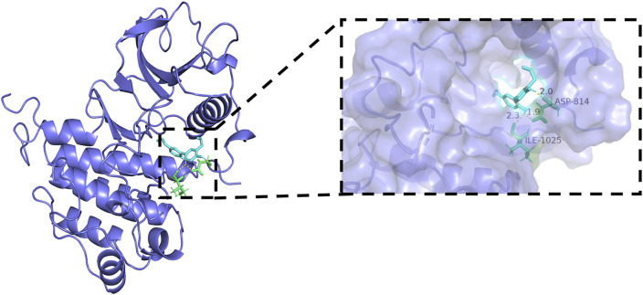 FIGURE 13