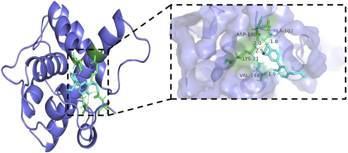 FIGURE 11