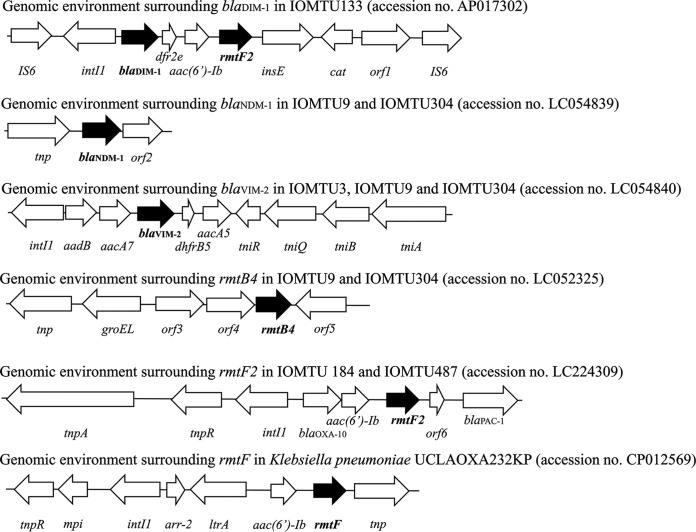 FIG 1