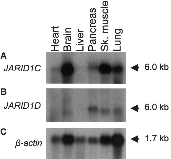 Figure  3