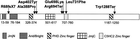 Figure  4