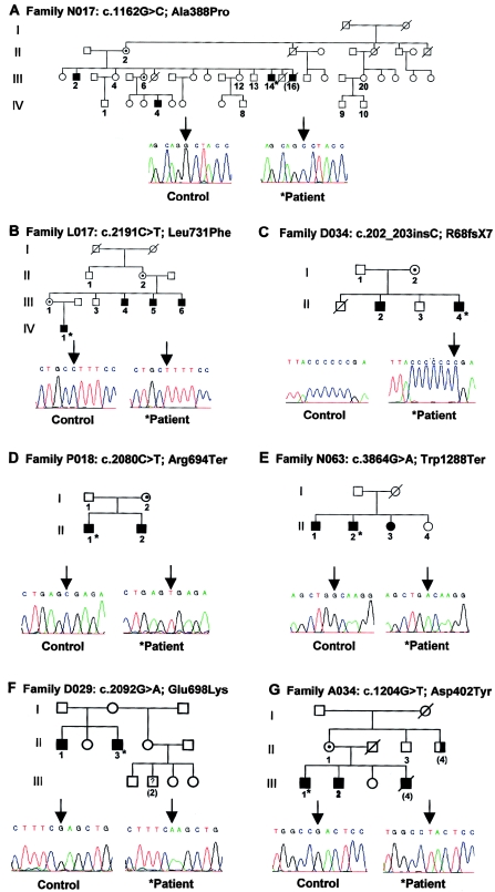 Figure  1