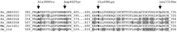 Figure  5