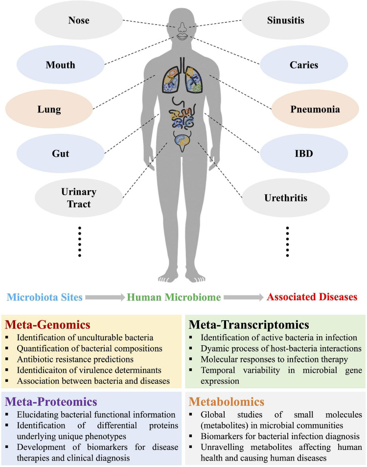 FIGURE 1