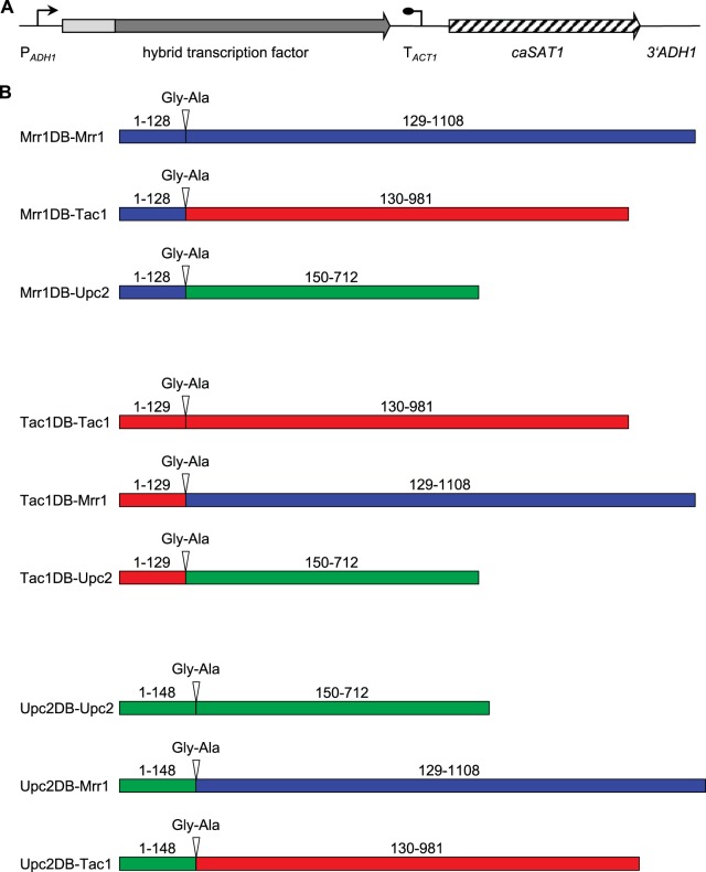 FIG 2