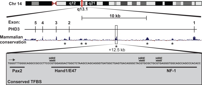 Figure 8